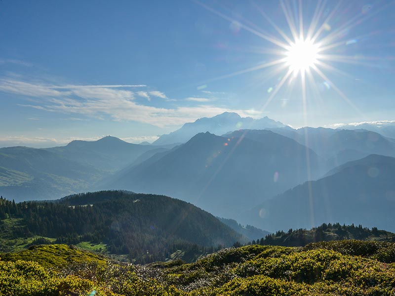 Randonn&eacute;es dans les Alpes et dans les Vosges