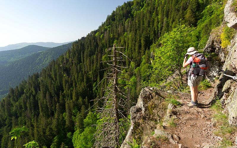 Randonn&eacute;e dans les Vosges sans voiture